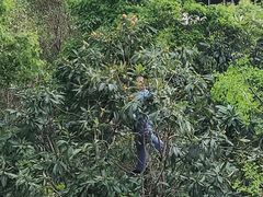 -映月湖中央公园