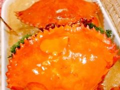 -茉莉.Red Crab