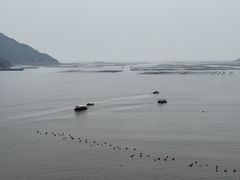 -北岐滩涂