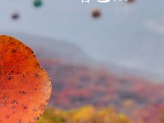 -周口店坡峰岭风景区