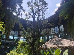 -The Ring Pavilion 魔幻森林