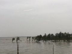 -东寨港红树林旅游区