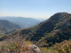 -大岭沟猕猴桃谷风景区