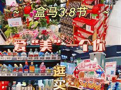-盒马鲜生(莱蒙都会店)