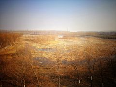 -东郊湿地公园