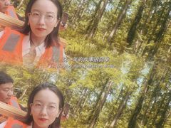 -黄海国家森林公园