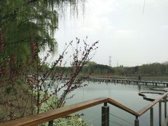 -昆山城市生态森林公园