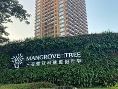 -三亚湾红树林度假世界(木棉酒店)
