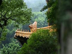 -普陀山风景名胜区-法雨禅寺
