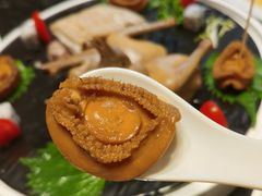 -新兴·金羊座·粤菜点心(乐峰店)