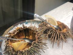海胆-海鲨湾海鲜会馆(百家湖1912店)