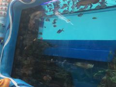 -望儿山温泉水乐园