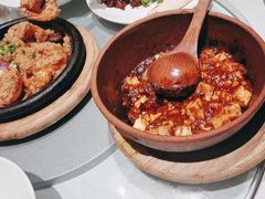 -大鸭梨烤鸭(望京店)