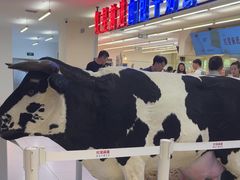 -红星前进面包牛奶公司(君太店)