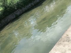 -仙山谷激浪漂流