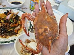 -宾朋海鲜特色美食餐厅·纯手工鲅鱼水饺(兴海路店)