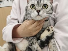 -瑞派·关忠动物医院·猫专科·犬专科(三环新城店)