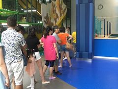 -蒙特利亲子乐园