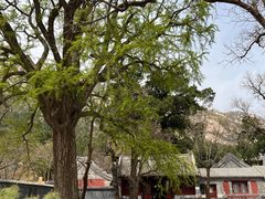 -北京凤凰岭