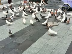 -中航城君尚购物中心