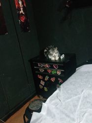 -荔刺青纹身·手穿孔饰品