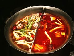-湊湊火锅·茶憩(新中关购物中心店)