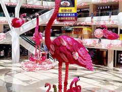 -中央广播电视总台(光华路办公区)