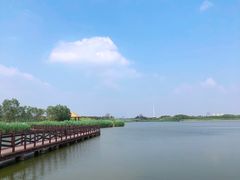 -西青郊野公园