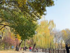 -玲珑塔公园