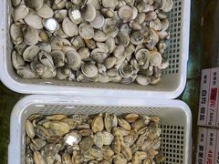 -宝燕壹号(徐汇店)