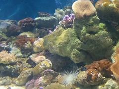 -临沂极地海洋王国