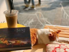 -W Coffee(船板巷店)