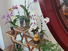 -丽泽山庄·生态怀柔菜·虹鳟鱼(红螺寺店)