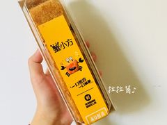 蟹小方-龙兴·动物奶油生日蛋糕(龙北店)