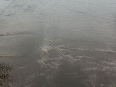 -台山黑沙湾海浴场