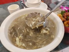 海藻羹-破店(井大店)