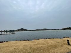 -上海月湖雕塑公园