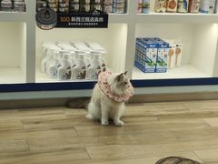 -拜鲁耶动物诊疗中心·宠家动物医院