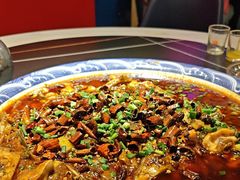 -新概念来凤鱼(璧山店)