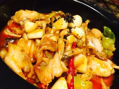 松露牛肝菌焖牛蛙-云海肴·汽锅鸡·云南菜(天津国金汇店)