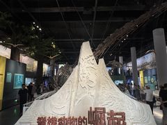 -国家自然博物馆