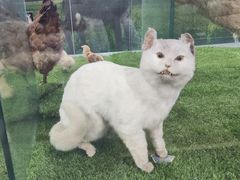 -郑州自然博物馆(惠济区)