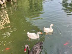 -天毓山庄·餐厅