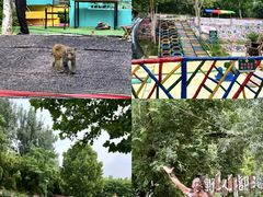 -沂蒙云瀑洞天景区