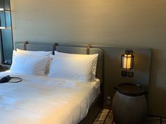 -新加坡瑞士史丹福酒店