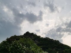 -沣峪森林公园龙潭戏水景区
