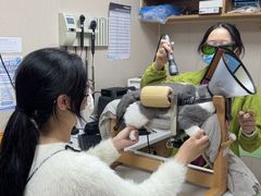 -瑞鹏宠物医院·眼科·皮肤·中兽医(大悦城分院)