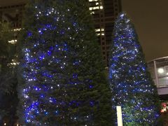 -台场海滨公园船码头