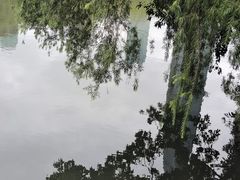 -荔枝公园(福田区)