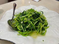 凉拌丝瓜尖-玉华台饭庄·淮扬菜·烤鸭(望京店)